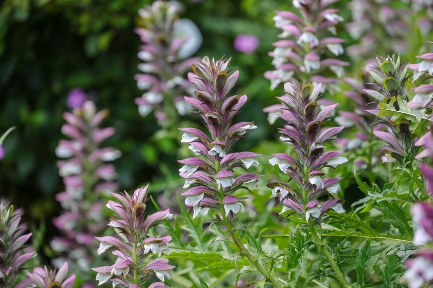 yujie chen/istockphoto.com