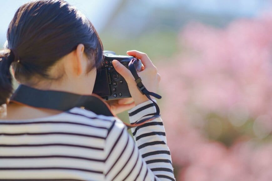 show999/shutterstock.com