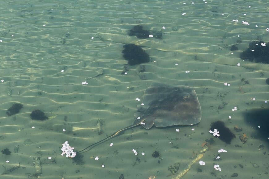 出所：@always_rain3