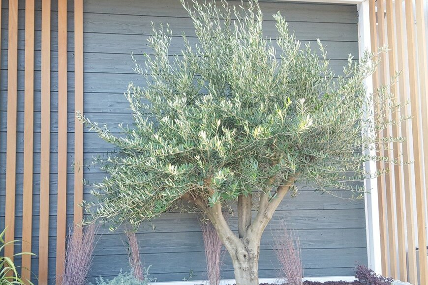 OceanProd/istockphoto.com