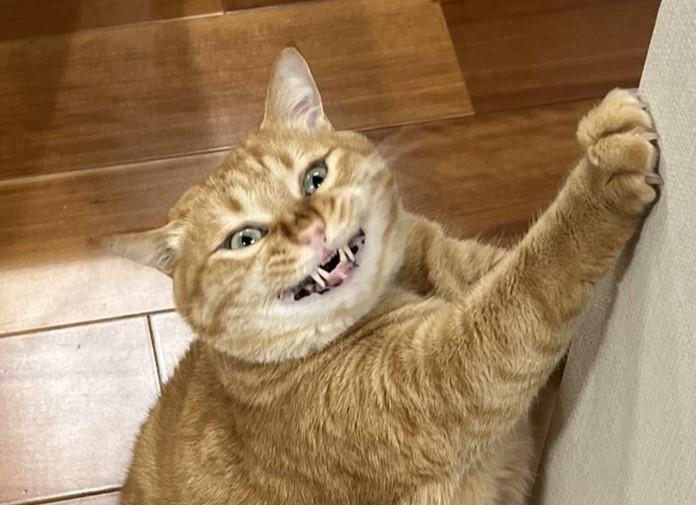 出所：@kagisuzu0531