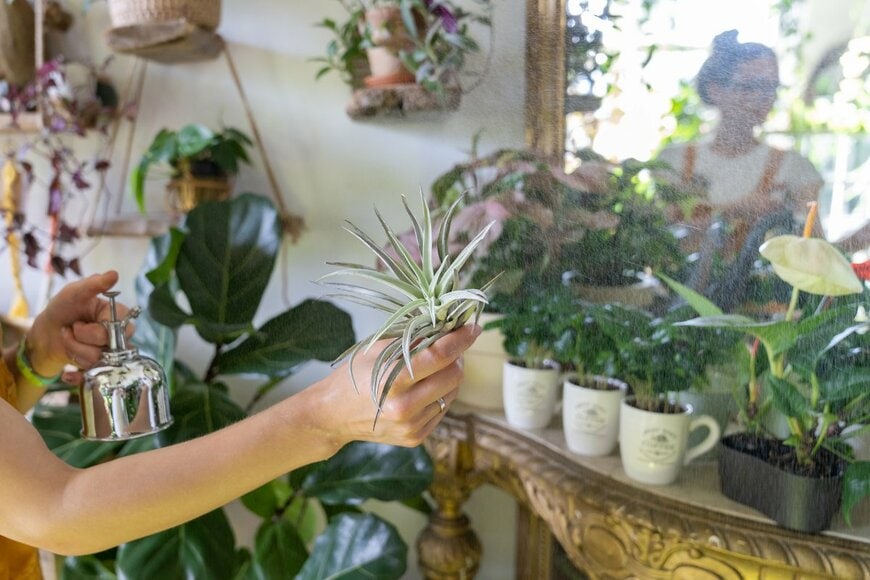 DimaBerlin/Shutterstock.com