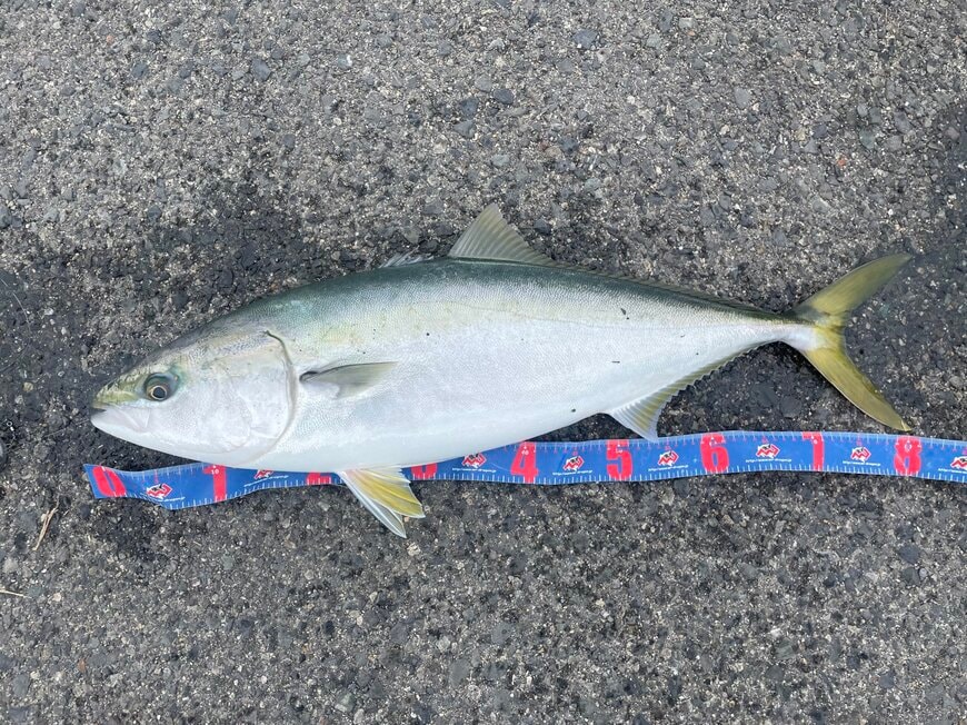 出所：@Ayusi_3939