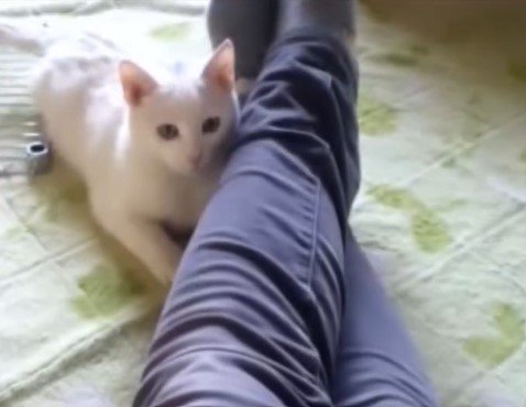 出所：@mayumi196300