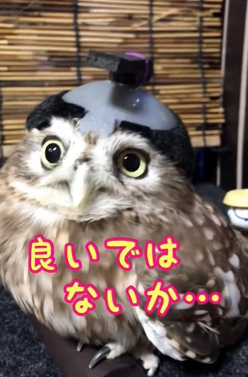 出所：@cr8673.hiro