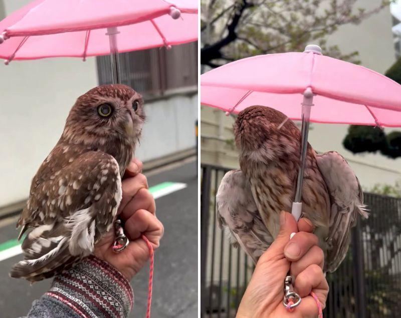 投稿動画のワンシーン