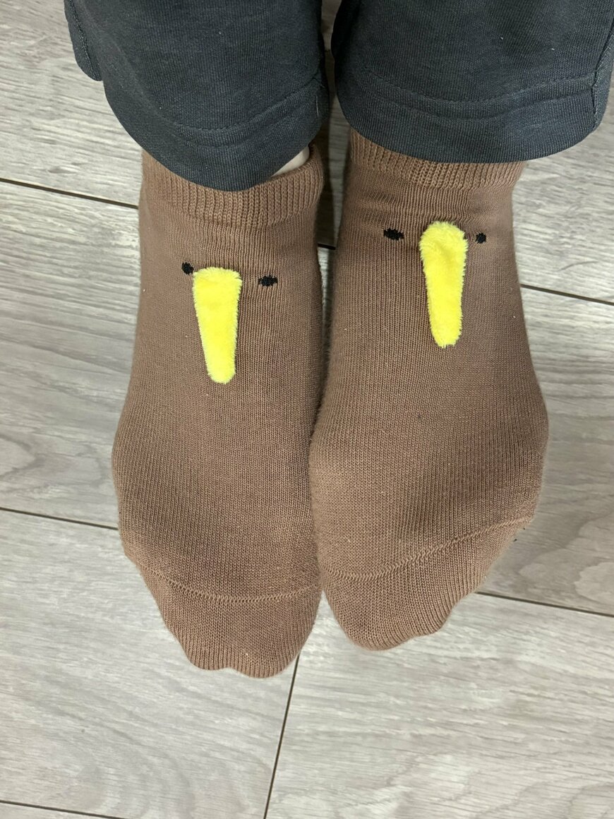 かわいい「キウイ」の靴下