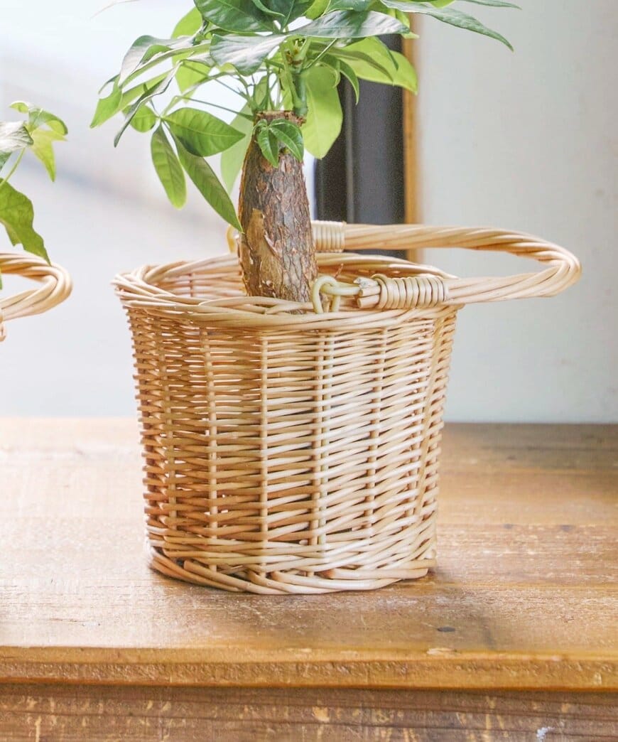 salut!（サリュ）公式 | PAL CLOSET（パルクローゼット）柳ハンドルバスケット4号