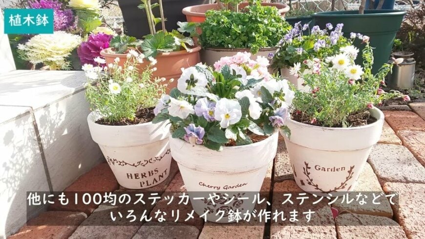 @チェリーガーデン