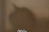 布越しに目撃した「謎のシルエット」　気になる正体に「かわいいな」