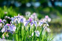 【障害年金】申請しても「認定されない」ことも！認定件数と仕組みについて解説