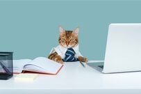 【早見表】厚生年金・国民年金の平均受給額は60代で月額いくらか？高齢者雇用の実態も