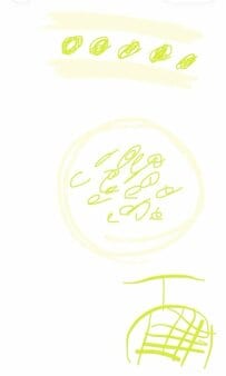 お菓子作りの際に描いたラフなデザイン画　完成した華やかなメロンケーキとのギャップに「天才の所業」