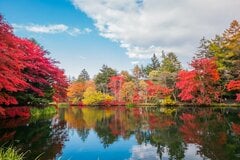 別荘地の代表格なのに軽井沢が危機感を持つ理由