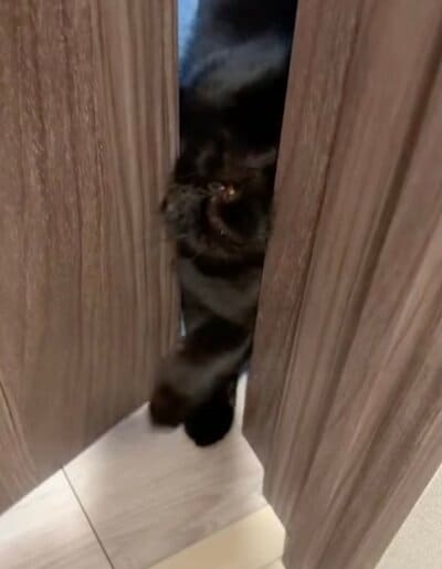 お顔がすごいことに…