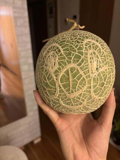 投稿の画像