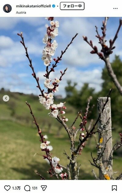 中谷美紀のInstagram投稿