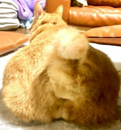 魅惑のサービスショット?!