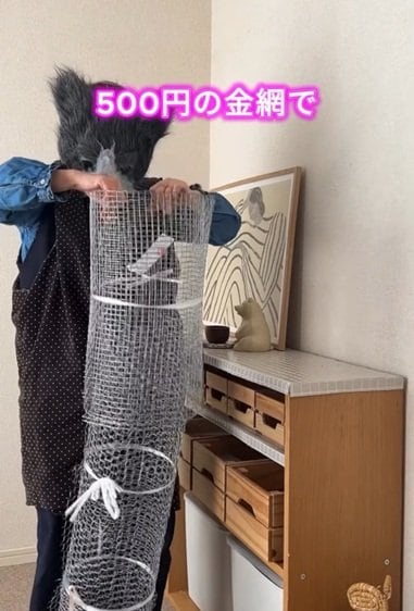 投稿の画像