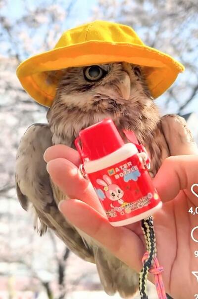 投稿動画のワンシーン