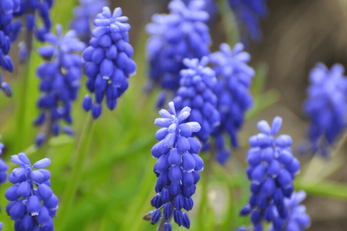 Orest Lyzhechka/istockphoto.com