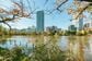 東京・上野公園の不忍池で「100センチ超えの外来魚」を目撃　鯉の倍ほどある姿に注目集まる