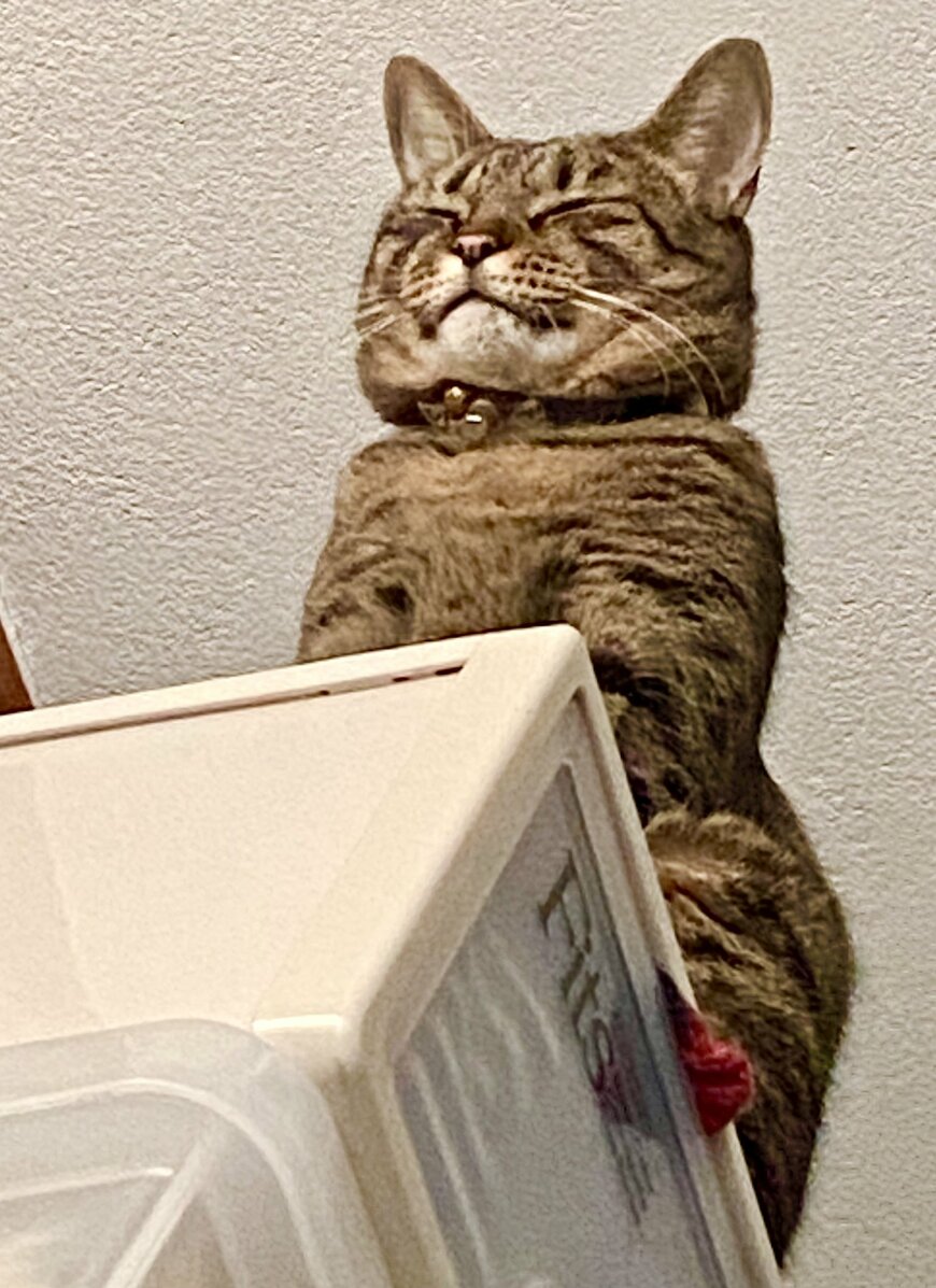 出所：@luna7taka9