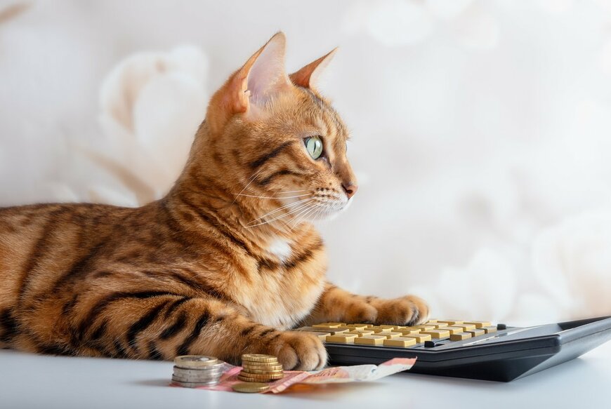 【20歳代・ひとり世帯】貯蓄400～500万円未満は何パーセントか