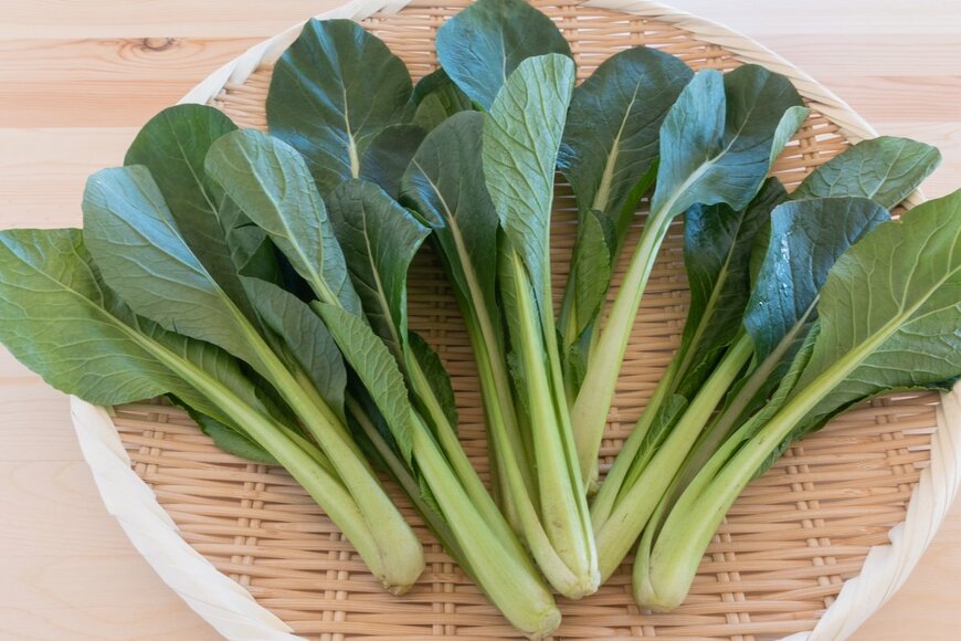 aomas/shutterstock.com