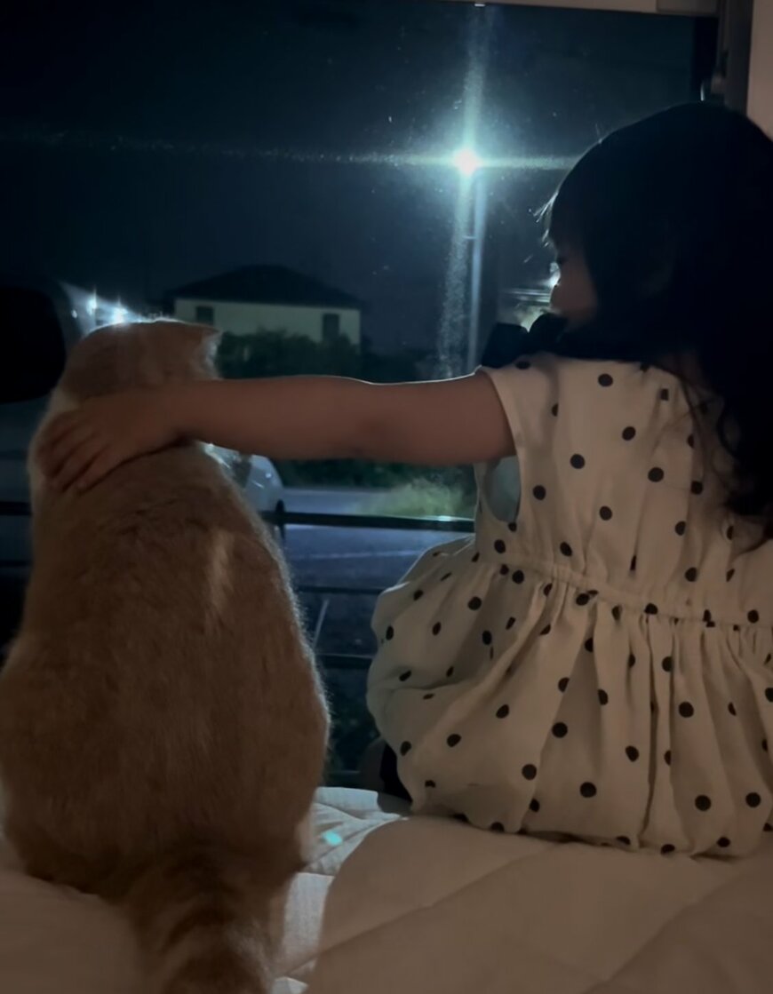 出所：@chanmaro1125