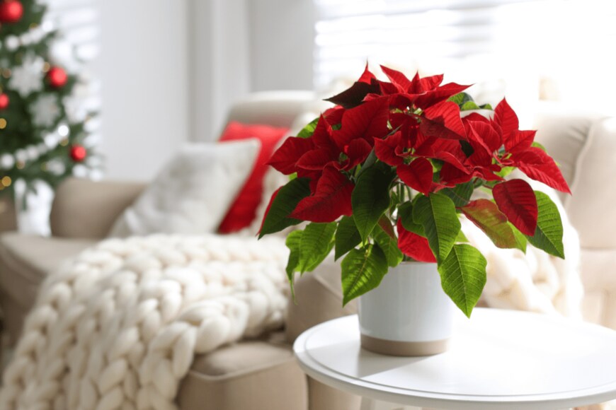 Goroda/istockphoto.com