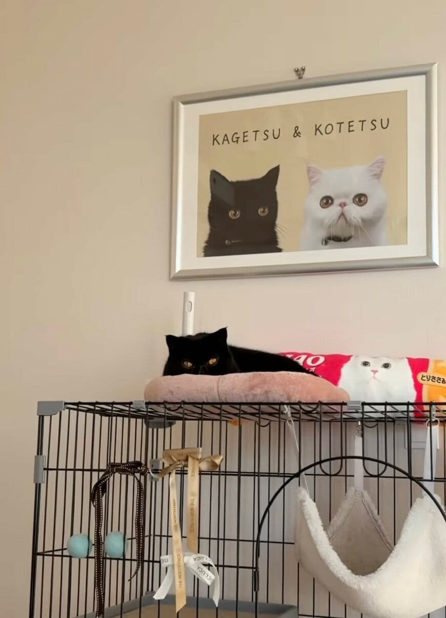 出所：@kotetsu_0420