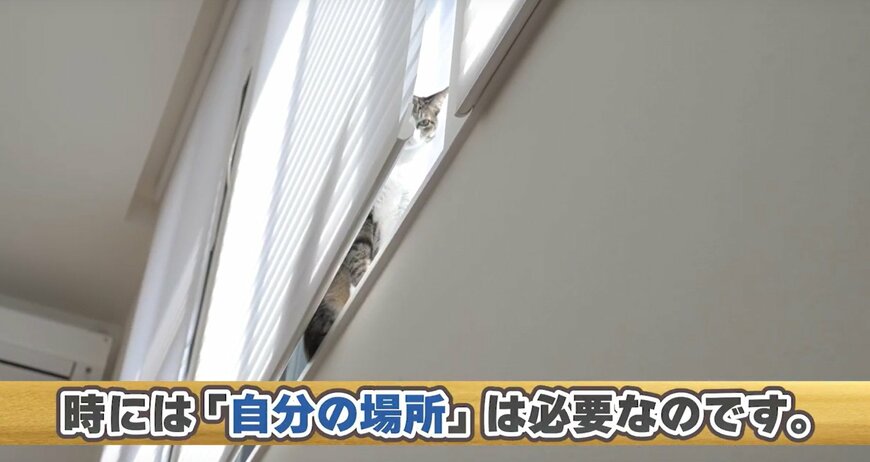 出所：@MAKO0MAKO0