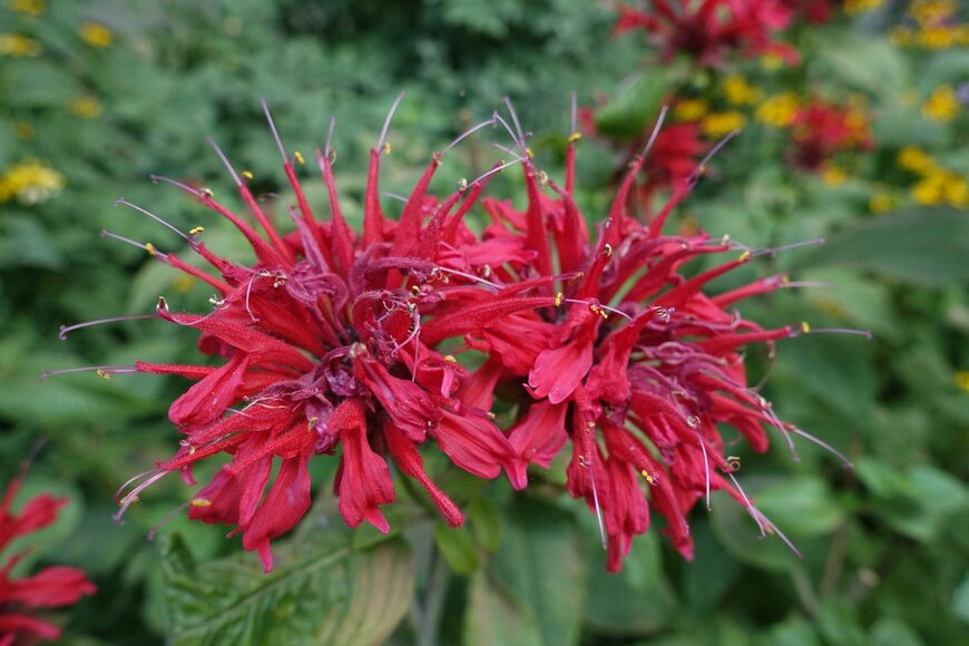 apugach/istockphoto.com