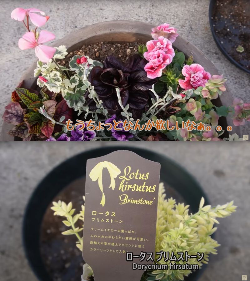 出所：@ohanachannel30