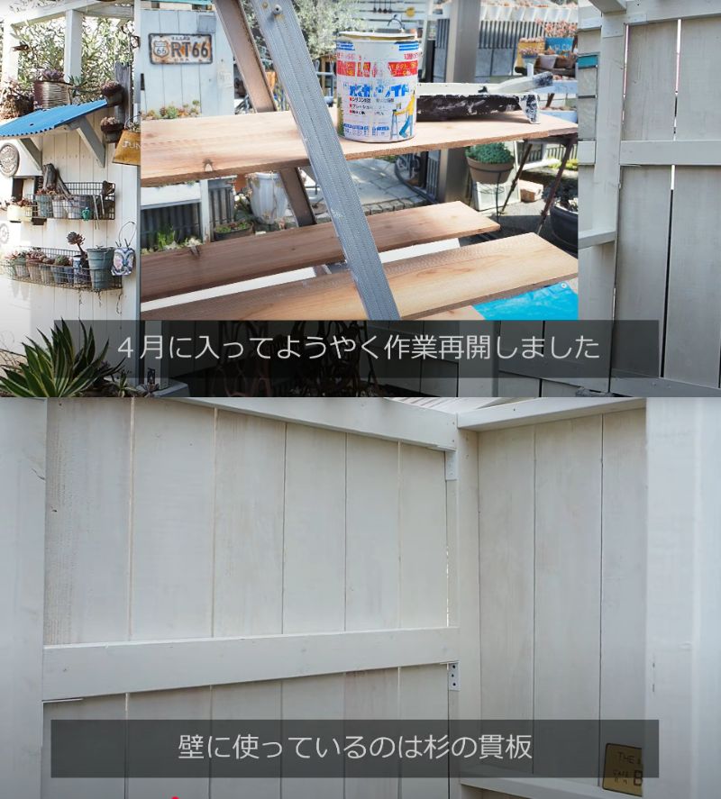 出所：@oliveandsucculentgarden