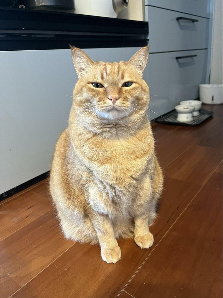 出所：@kagisuzu0531