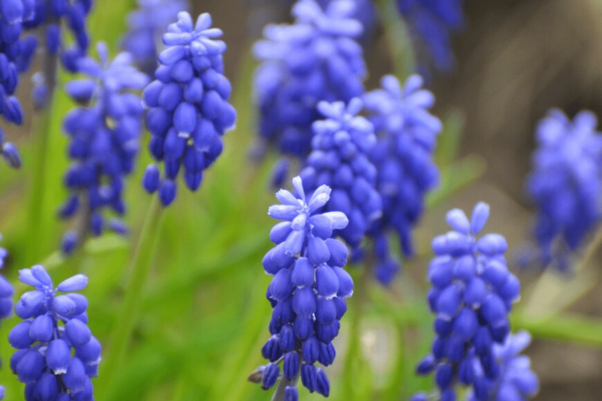 Orest Lyzhechka/istockphoto.com