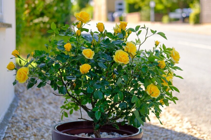 Nickbeer/istockphoto.com