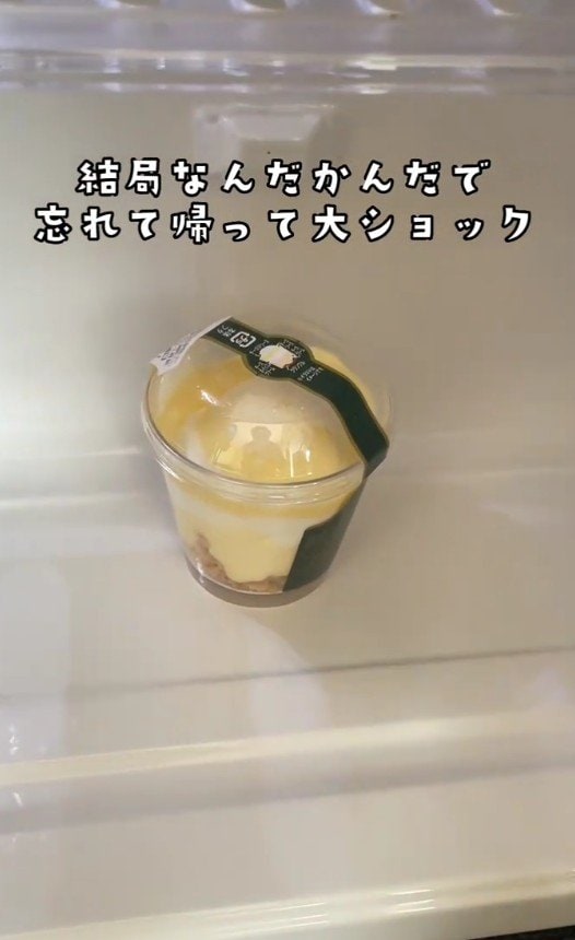 冷蔵庫に残されたスイーツ