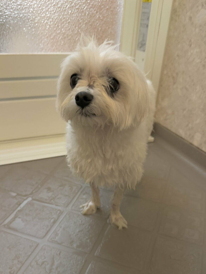 出所：@pocke_0717_