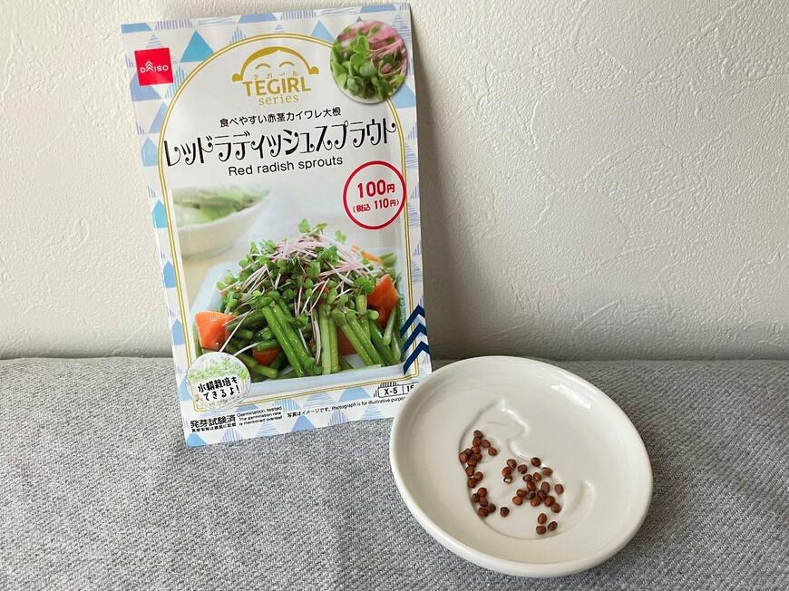 ダイソー「レッドラディッシュスプラウト」