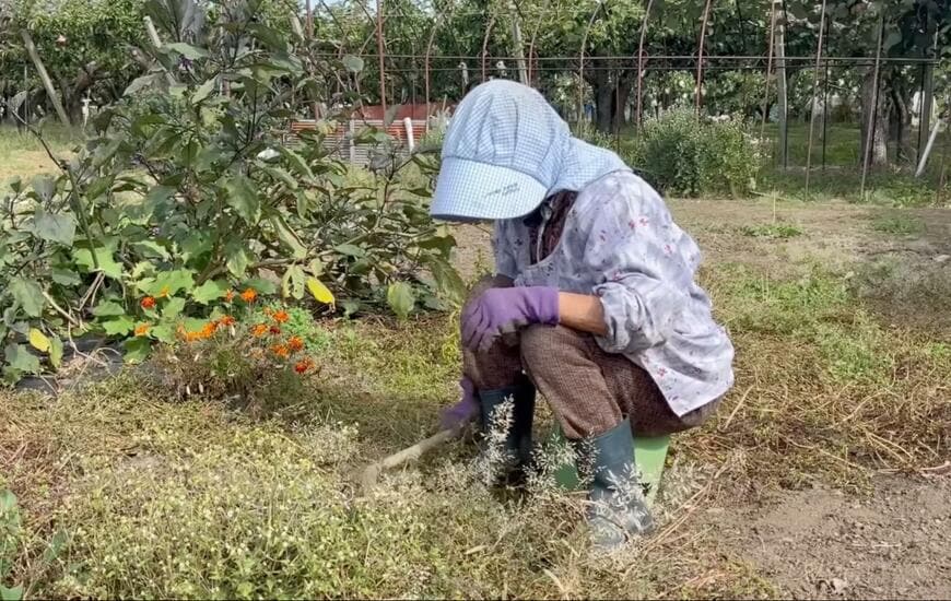 94歳のおばあちゃん