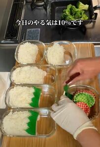 【主婦のやる気10％弁当】懐かしの「いかなごのくぎ煮弁当」に「10％でもこのクオリティ」と反響続々