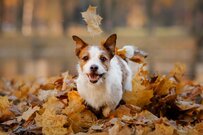 厚生年金モデル世帯は夫婦で22万円。共働きやシングルは？