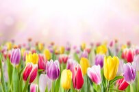 【年金請求書】65歳前から見逃し注意！うっかりポイント3選と対策方法