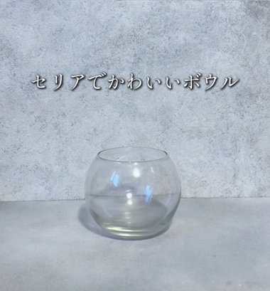 変身前のセリアのボウル