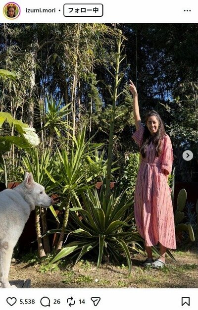 森泉のInstagram投稿
