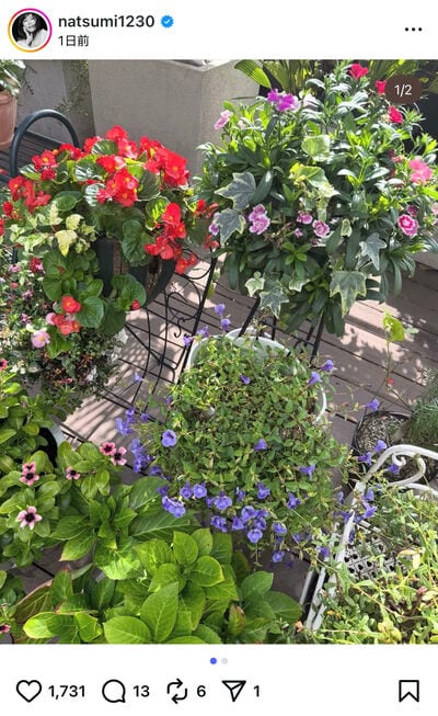 小川菜摘のInstagram投稿