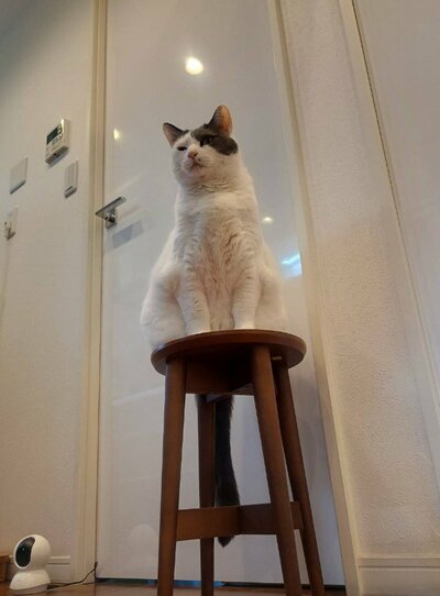 大物感が漂っています